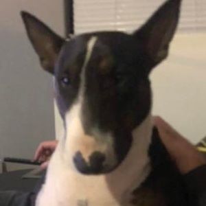 Meet your Posher, Louise